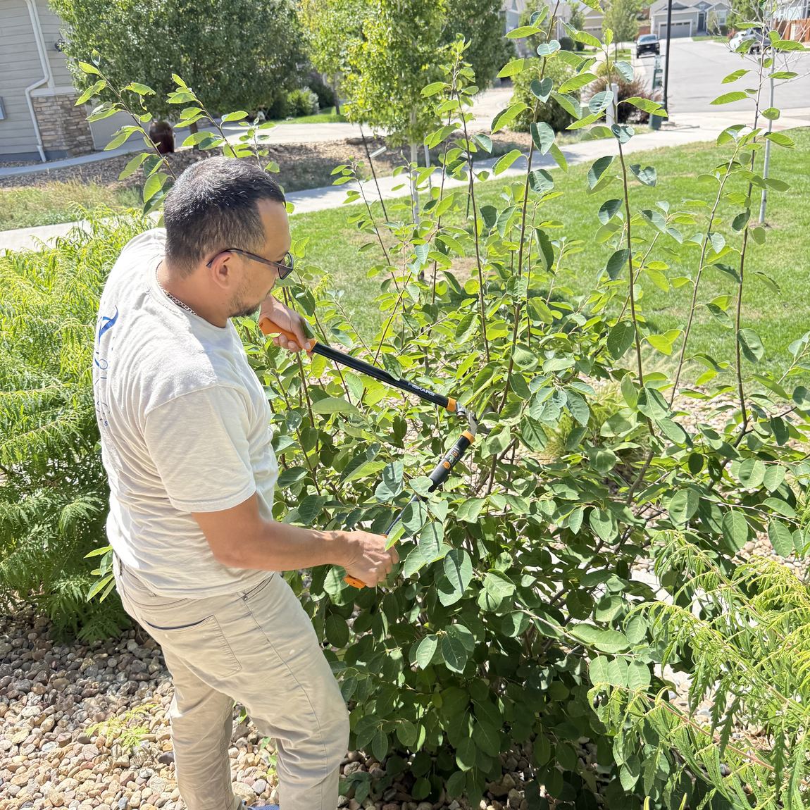 A member of the Jones Cleaning Solutions crew trimming shrubs in a front yard