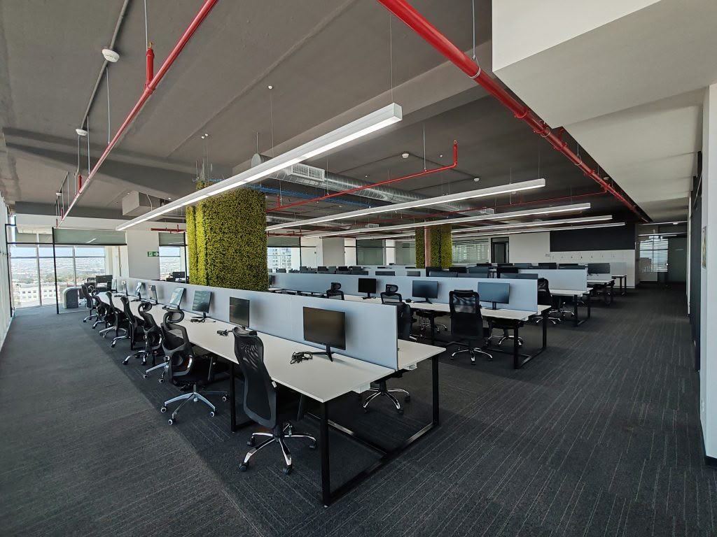 A clean open-plan office with vacuumed carpet and tidy desks